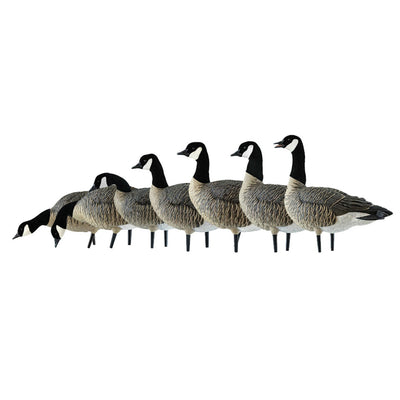 Avian X AXF Lessers Flocked Full Body Lifelike Goose Hunting Decoys, 12 Pack