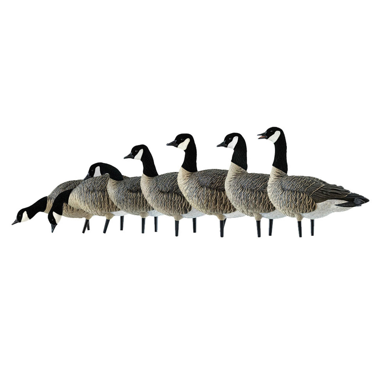 Avian X AXF Lessers Flocked Full Body Lifelike Goose Hunting Decoys, 12 Pack