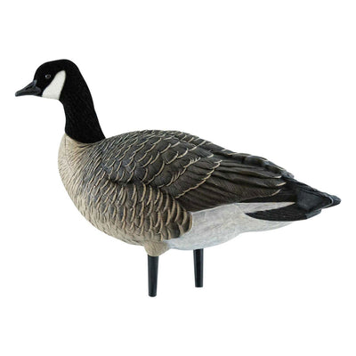Avian X AXF Lessers Flocked Full Body Lifelike Goose Hunting Decoys, 12 Pack