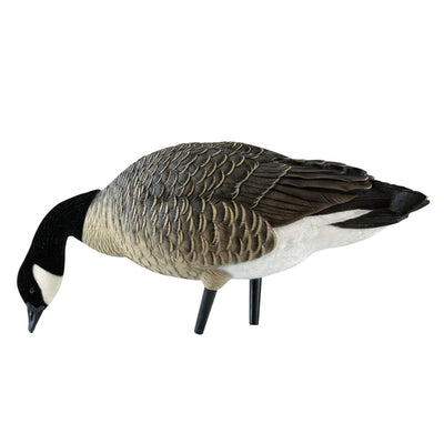 Avian X AXF Lessers Flocked Full Body Lifelike Goose Hunting Decoys, 12 Pack