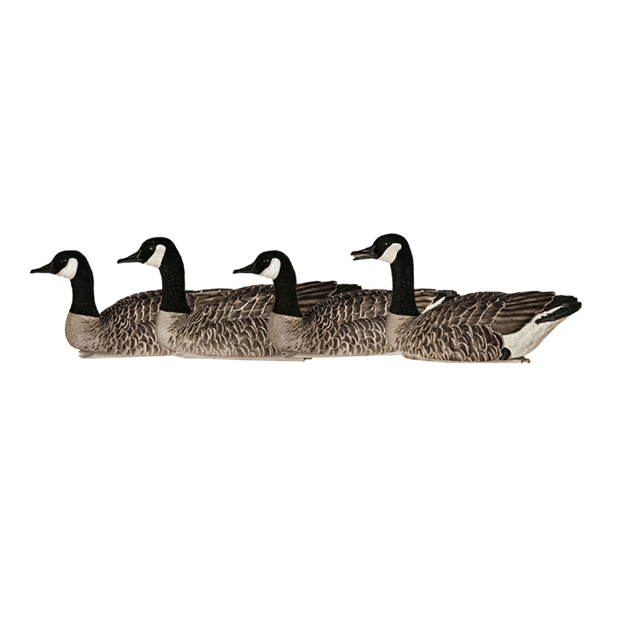 Avian X Honker Floaters w/True to Life Postures for Hunting Use (Open Box) - VMInnovations