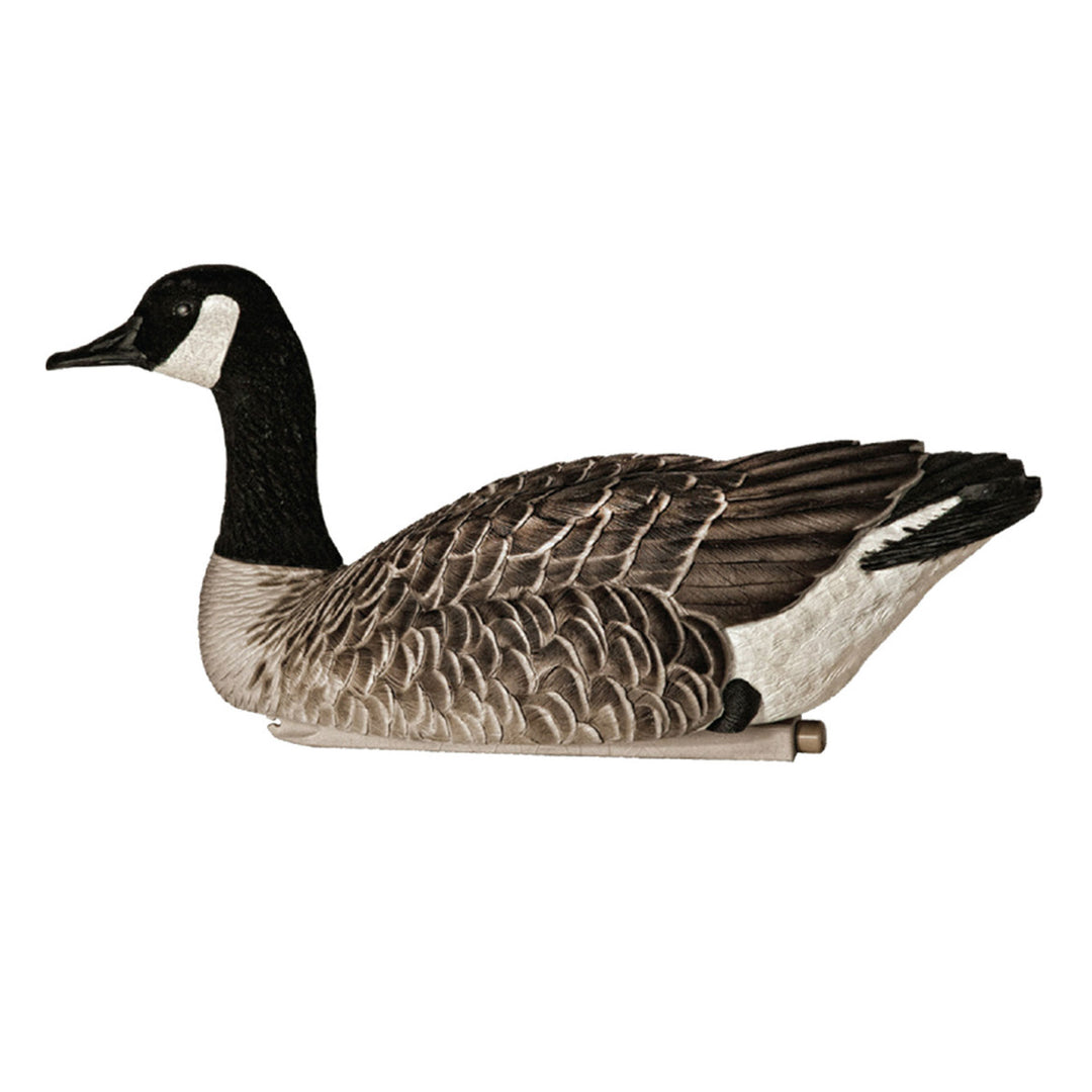 Avian X Honker Floaters w/True to Life Postures for Hunting Use (Open Box)