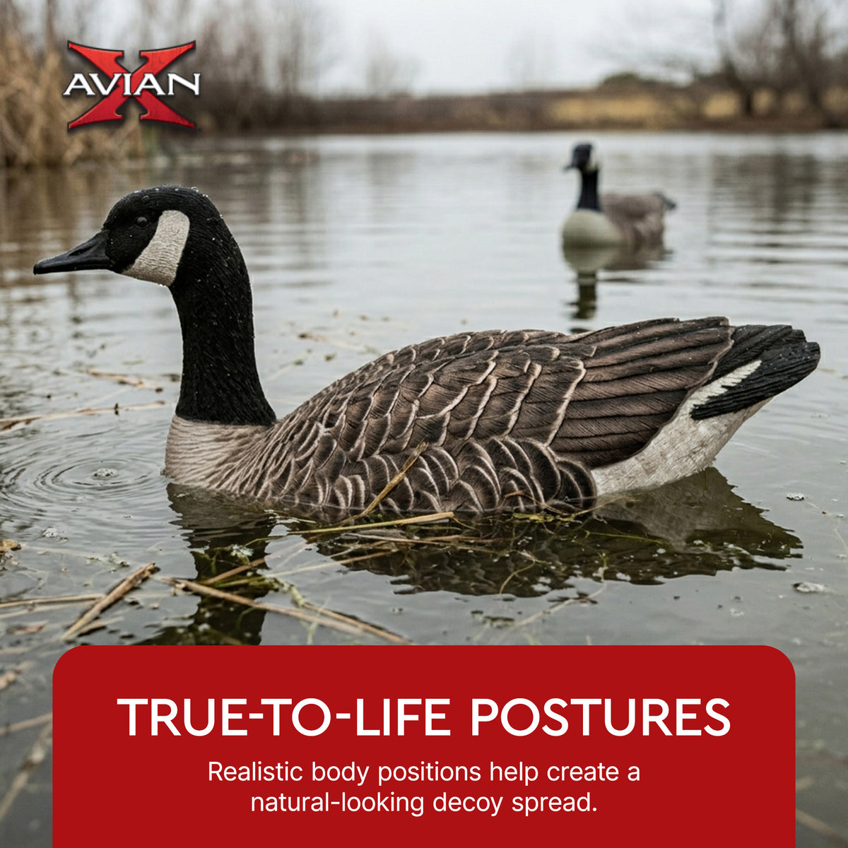 Avian X Topflight Honker Floaters with True to Life Postures for Hunting Use