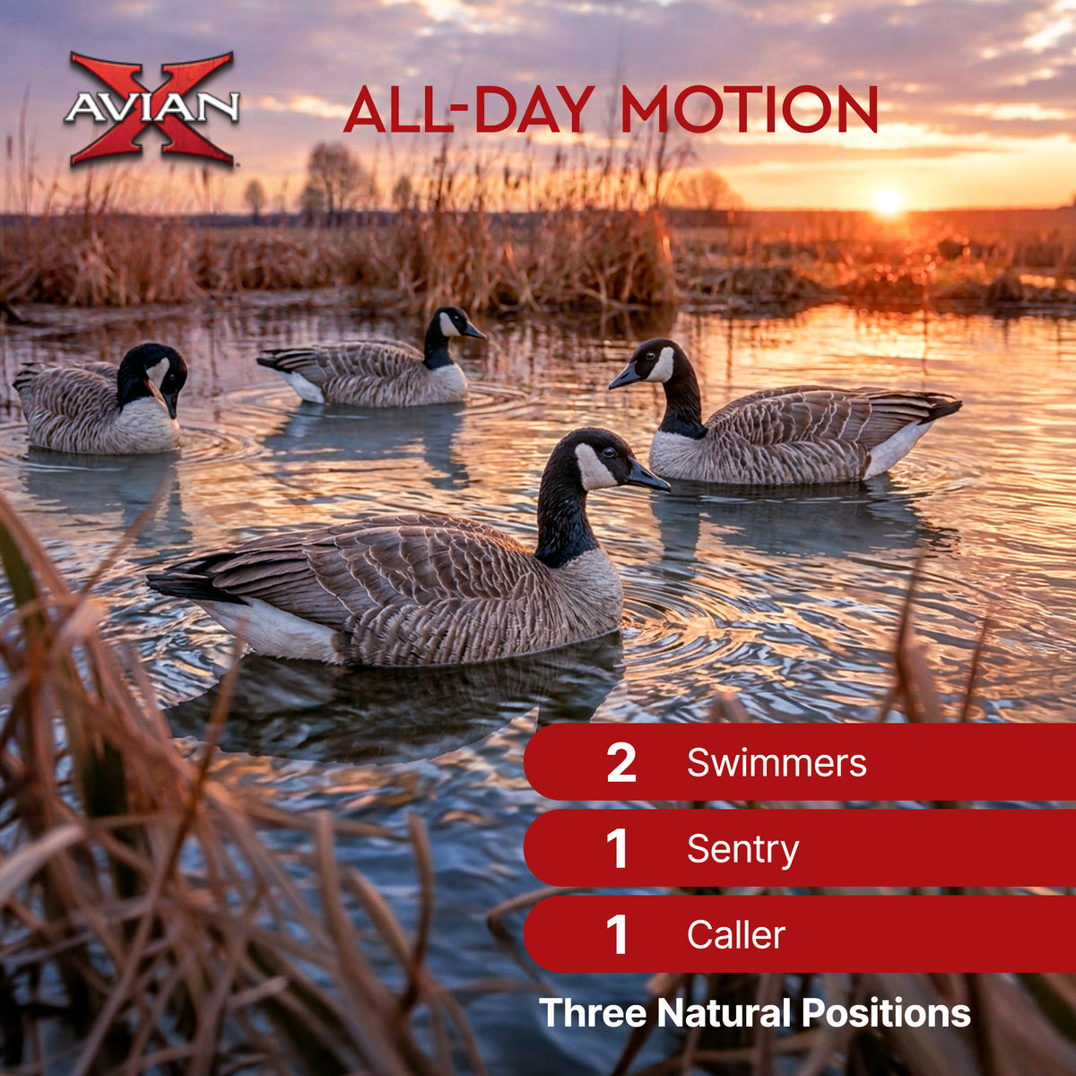 Avian X Topflight Honker Floaters with True to Life Postures for Hunting Use