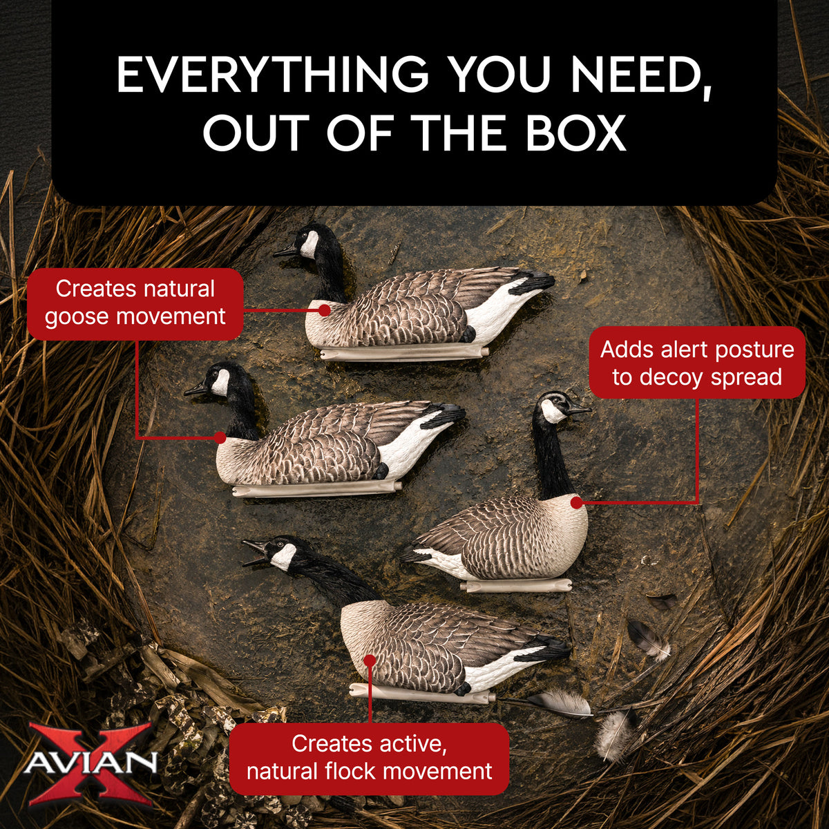 Avian X Topflight Honker Floaters with True to Life Postures for Hunting Use