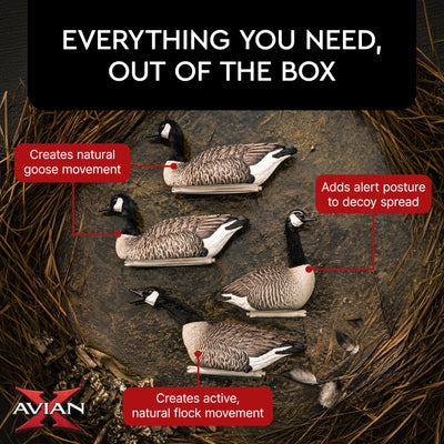 Avian X Honker Floaters w/True to Life Postures for Hunting Use (Open Box)
