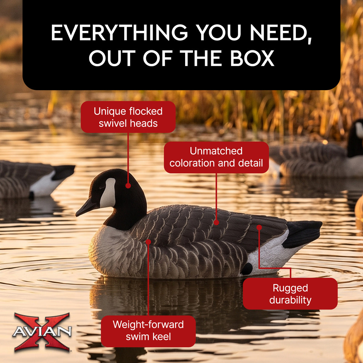 Avian X Topflight Lessers Floating Goose Hunting Decoys for Hunting Purposes