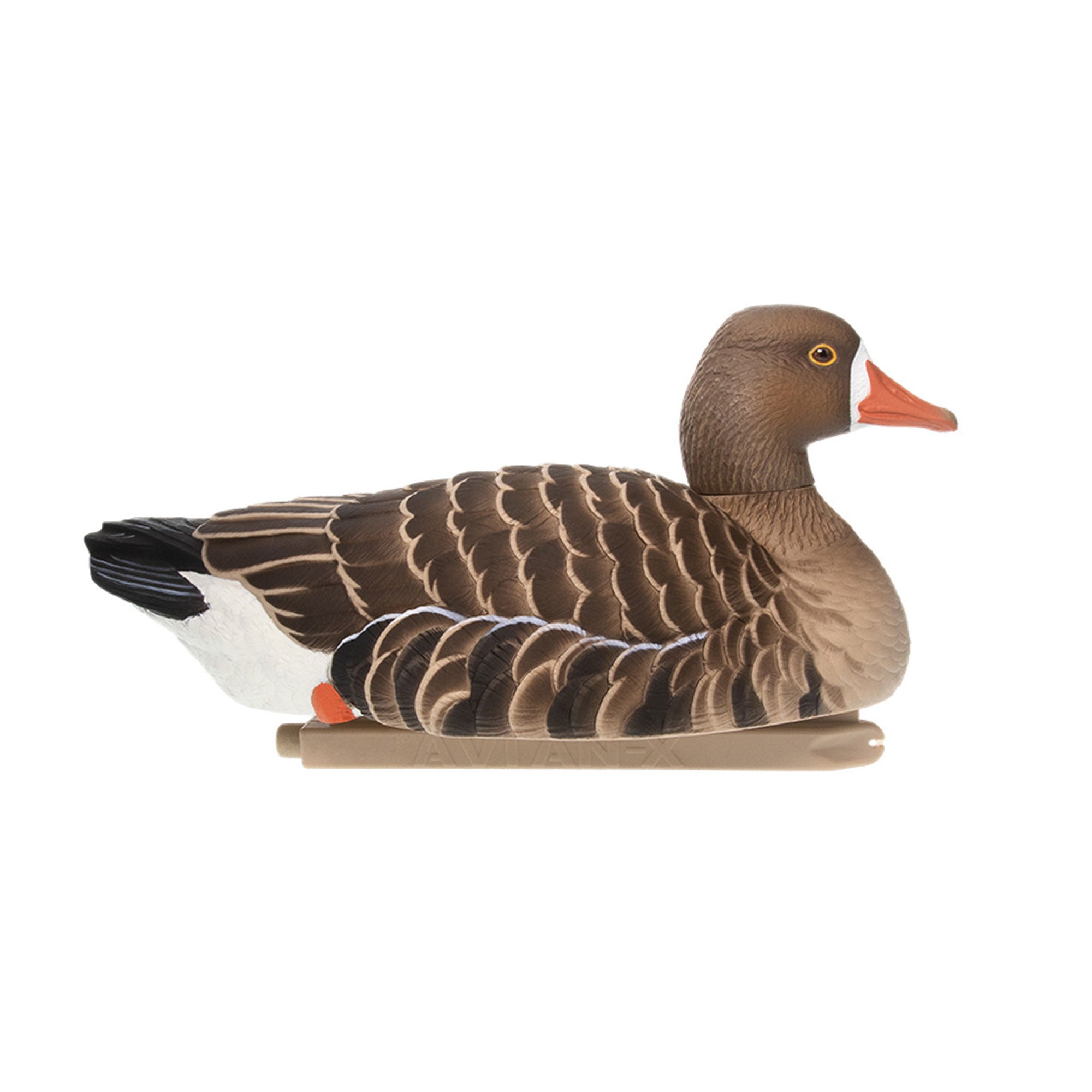 Avian X Topflight Specklebelly Goose Decoys with True to Life Postures, 12 Pack