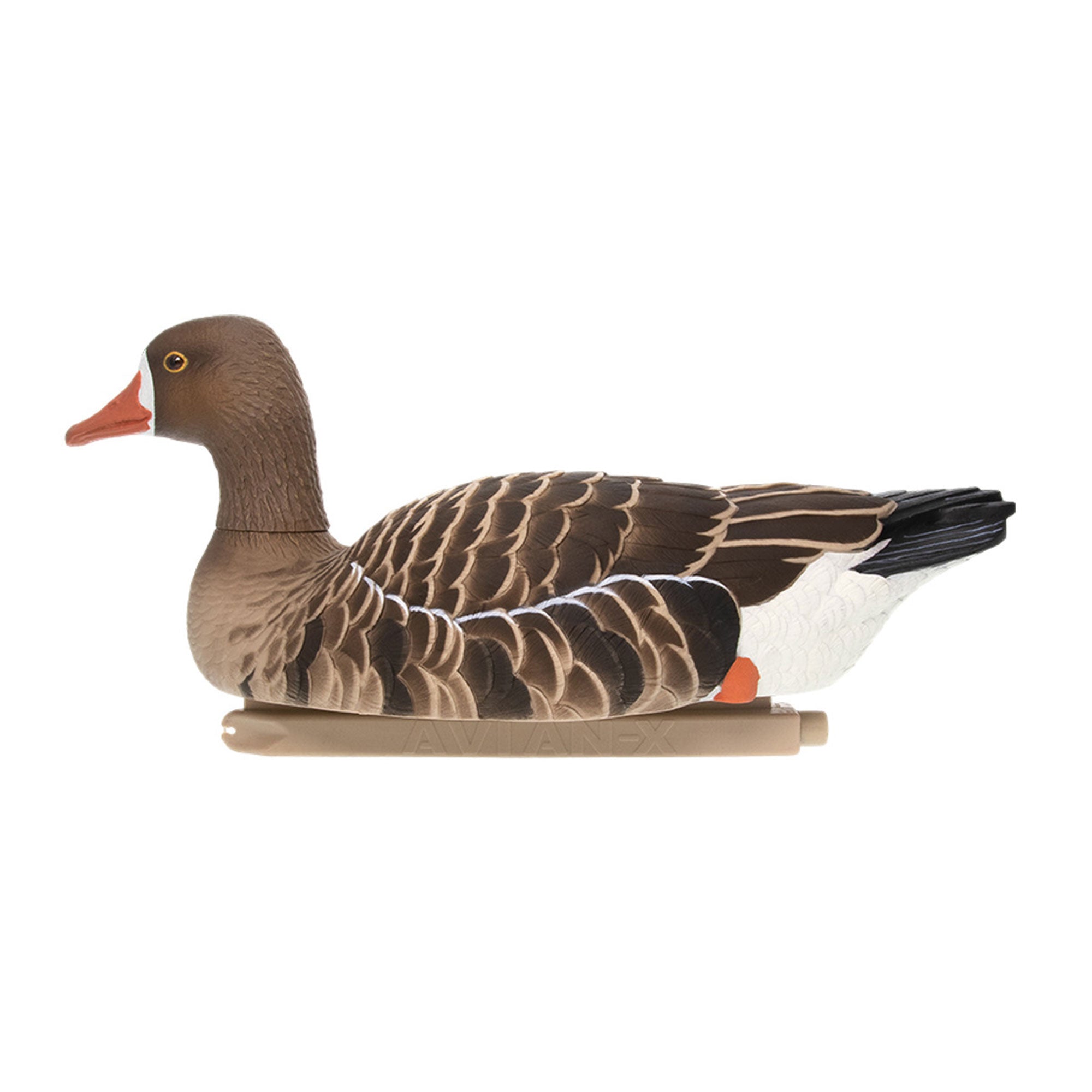 Avian X Topflight Specklebelly Goose Decoys with True to Life Postures, 12 Pack