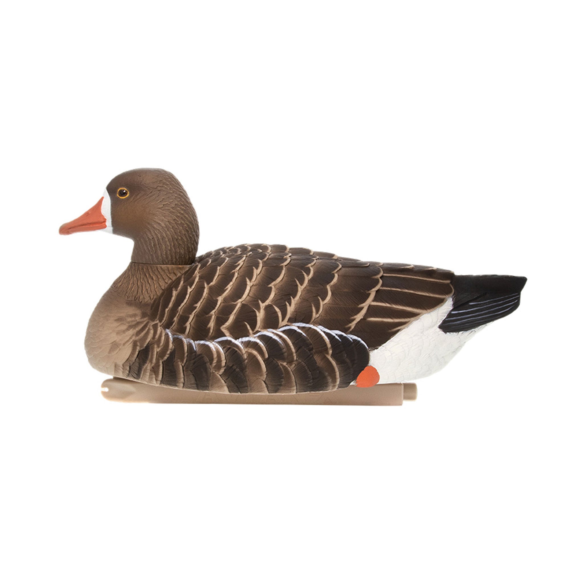 Avian X Topflight Specklebelly Goose Decoys with True to Life Postures, 12 Pack