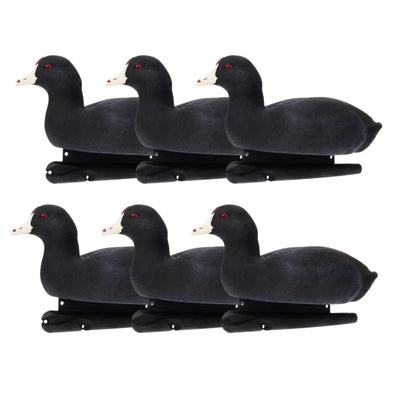 Avian X Top Flight Coot with Ultra Realistic Paint Scheme for Hunting, 6 Pack