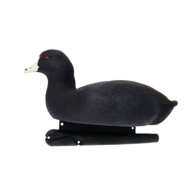 Avian X Top Flight Coot with Ultra Realistic Paint Scheme for Hunting, 6 Pack