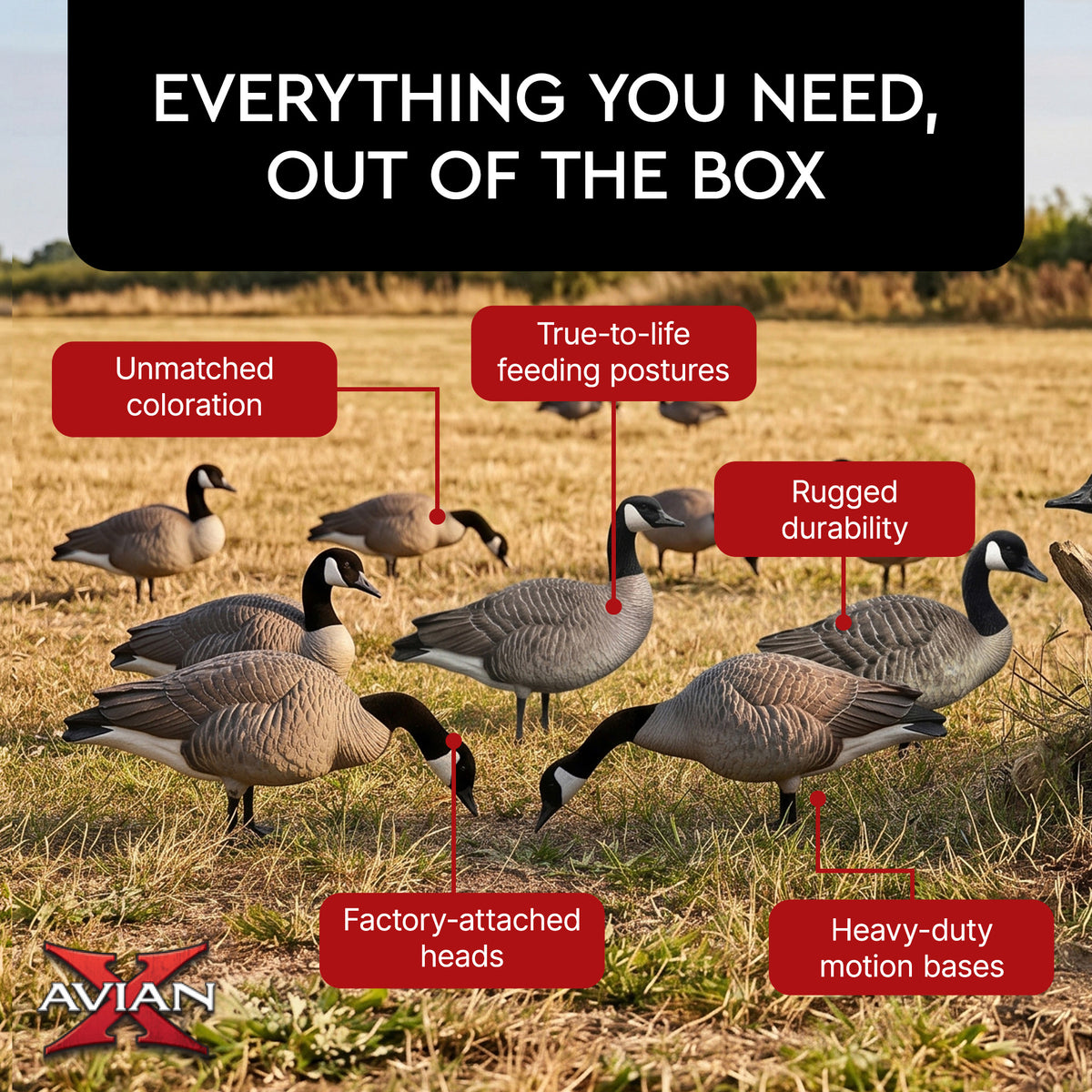 Avian X AXP 6 Piece Honker Sentry Walker Realistic Goose Outdoor Hunting Decoy