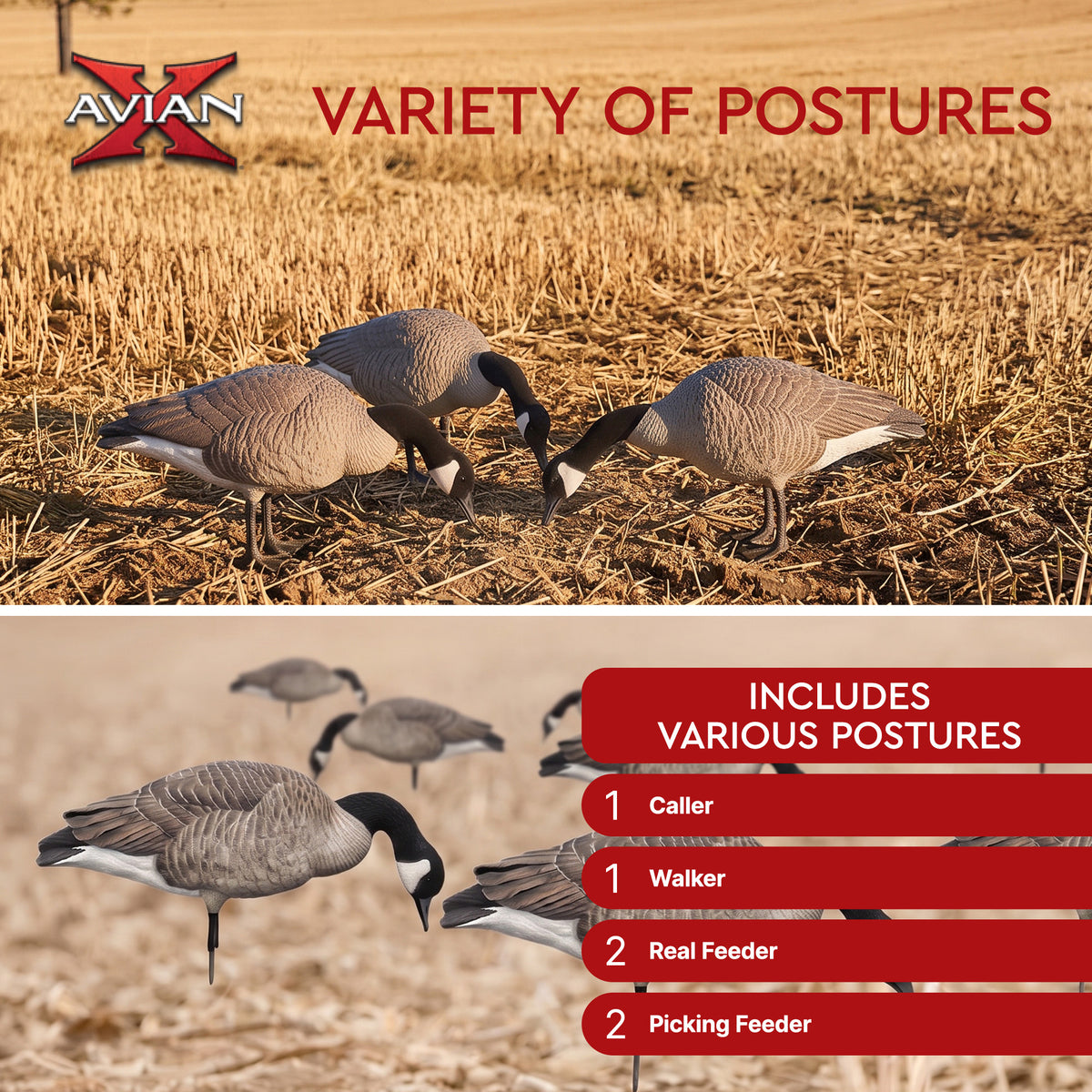 Avian X Lessers 6pc Fusion Pack for Hunting Purposes & Outdoor Sports (Open Box) - VMInnovations