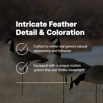 Avian X Lessers 4 Topflight Floating Hunting Decor with Lessers 6 Fusion Pack