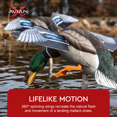Avian X PowerFlight Smart Motion Mallard Spinning Weatherproof Realistic Decoy