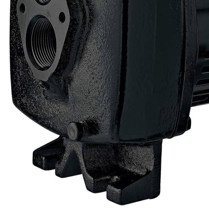 Flotec 1/2 HP Cast Iron Convertible Jet Pump Tackles Water Depths of Up To 100'