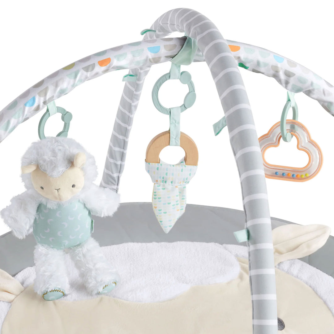 Ingenuity Sheppys Spot Ultra Plush Baby Activity Gym and Tummy Time Mat, Corrie