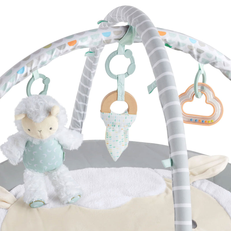 Ingenuity Spot Ultra Plush Baby Activity Gym and Tummy Time Mat, Corrie (Used)