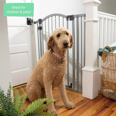 38 Inch Extra Tall and Wide Pet and Baby Mounted Safety Gate, Gray (Open Box) - VMInnovations
