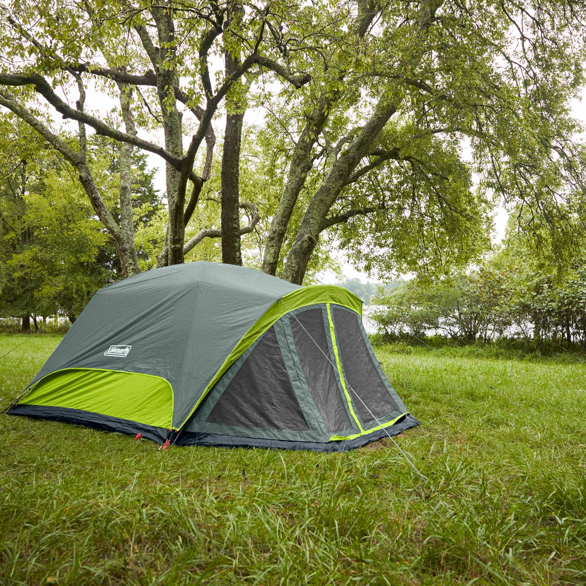 Coleman Skydome 6 Person Camping Tent with Screen Room and Carry Bag, Rock Gray