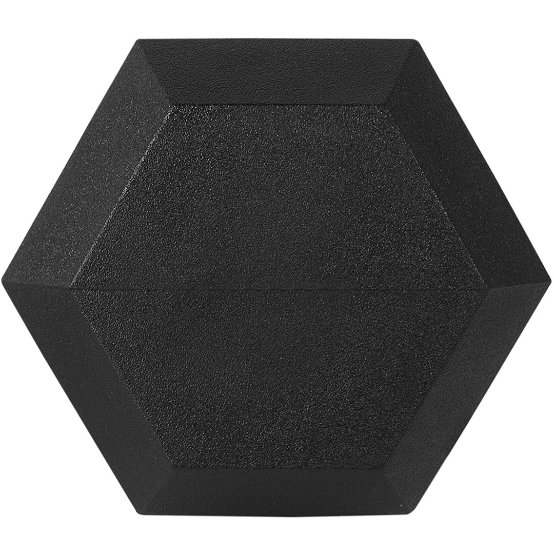 Sporzon Single Rubber Encased Hexagon Handheld Free Weight Dumbbell, 30lbs(Used)