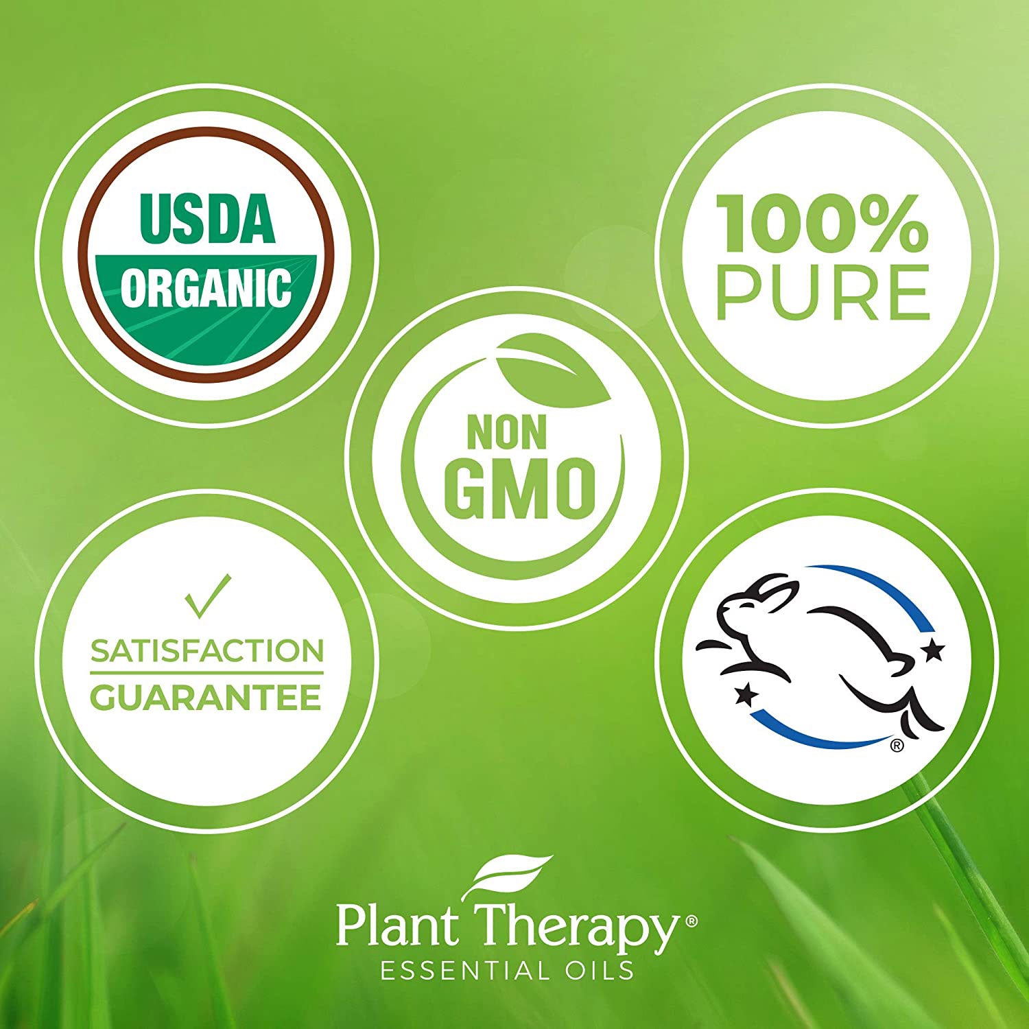 Plant Therapy Diffusible 100mL Essential Oil, 3.3oz, Organic Lemongrass (3 Pack) - VMInnovations