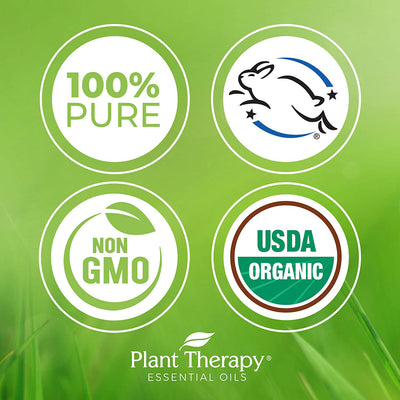 Plant Therapy Diffusible Essential Oil, 3.3 Oz, Organic Frankincense Serrata - VMInnovations