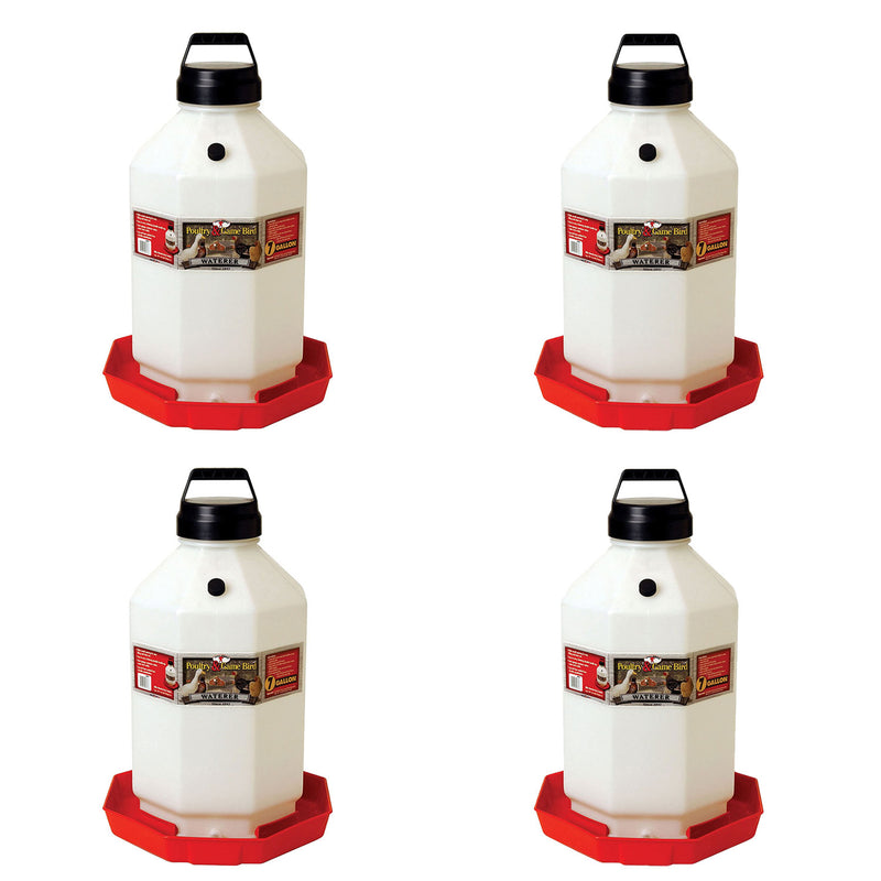 Little Giant PPF7 7 Gallon Automatic Poultry Waterer for Chickens, Red (4 Pack)