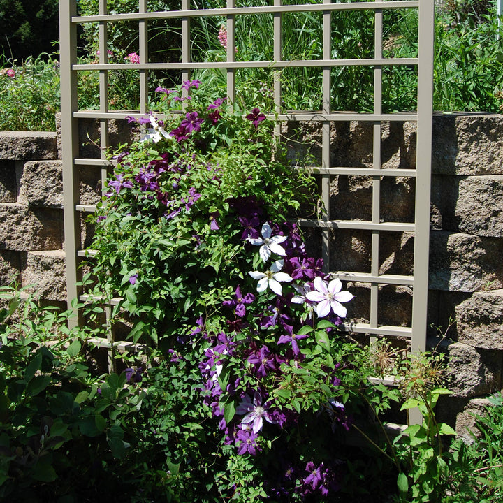 Dura-Trel Winchester 57"x95" PVC Vinyl Outdoor Garden Patio Trellis, Mocha(Used) - VMInnovations