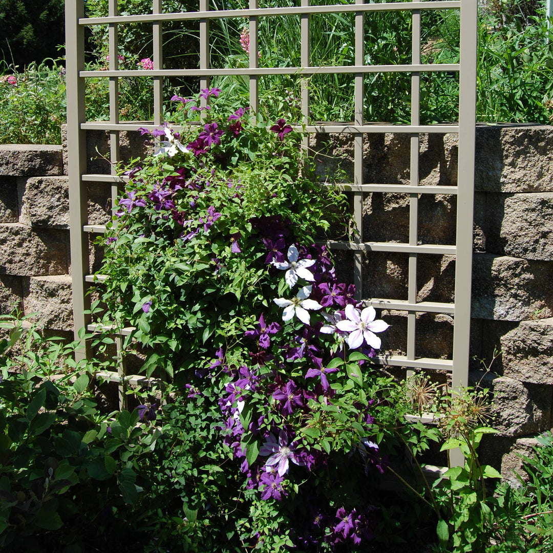 Dura-Trel Winchester 57"x95" PVC Vinyl Outdoor Garden Patio Trellis, Mocha(Used) - VMInnovations