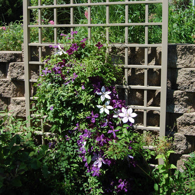 Dura-Trel Winchester 57"x95" PVC Vinyl Garden Patio Trellis, Mocha (Open Box)