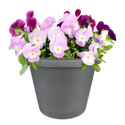 The HC Companies Classic 24 Inch Durable Plastic Pot Planter, Gray (12 Pack) - VMInnovations