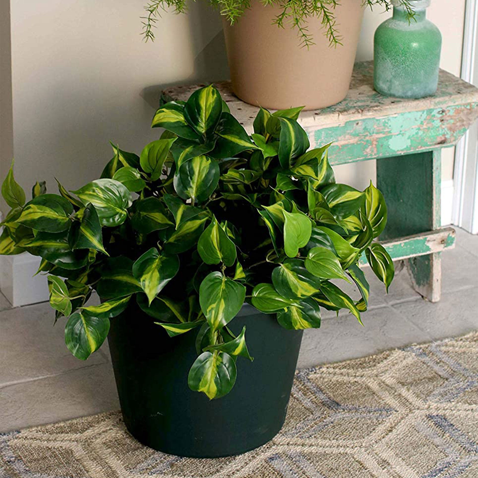 The HC Companies 24 Inch Indoor/Outdoor Classic Flower Pot Planter (6 Pack) - VMInnovations