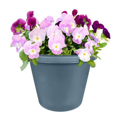 The HC Companies 24 Inch Indoor/Outdoor Classic Flower Pot Planter (6 Pack) - VMInnovations