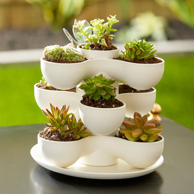 The HC Companies 8 Inch Pixie Indoor Stacking Plant Pot, Vanilla Bisque (3 Pack)