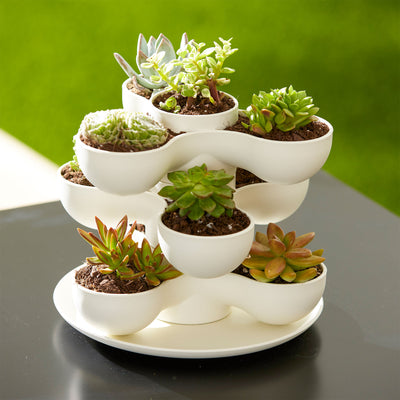 The HC Companies 8 Inch Pixie Indoor Stacking Plant Pot, Vanilla Bisque (3 Pack)
