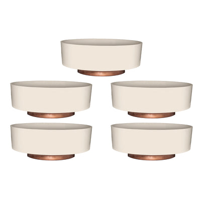 The HC Companies 8 Inch Capri Bowl Indoor Planter Pot, Vanilla Bisque (5 Pack)