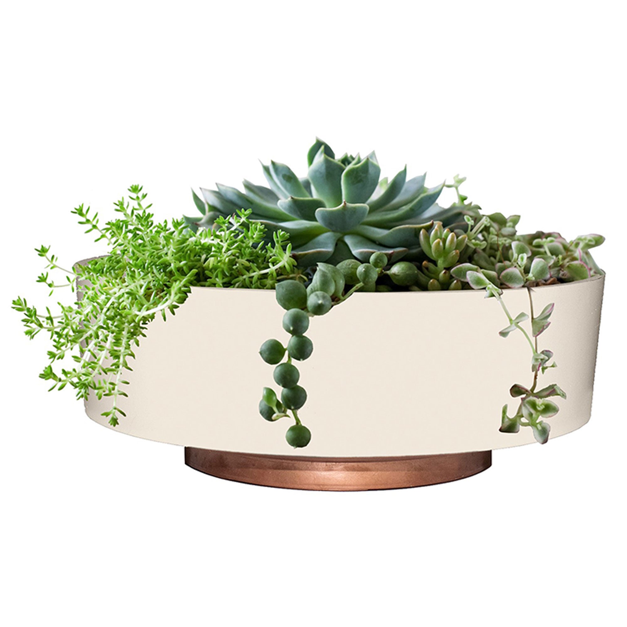 The HC Companies 8 Inch Capri Bowl Indoor Planter Pot, Vanilla Bisque (10 Pack) - VMInnovations