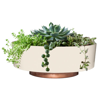 The HC Companies 8 Inch Capri Bowl Indoor Planter Pot, Vanilla Bisque (10 Pack) - VMInnovations