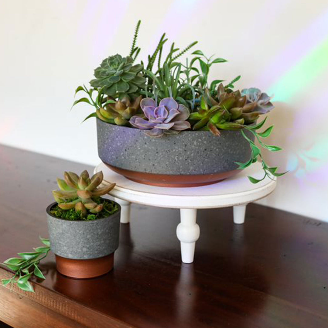 The HC Companies Capri Bowl Succulent Planter, Faux Concrete Copper (2 Pack)