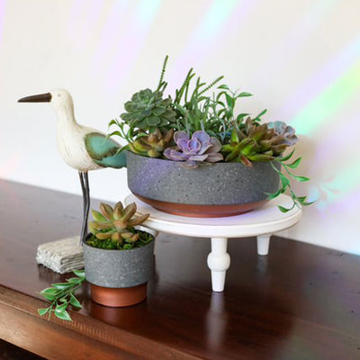 The HC Companies Capri Bowl Succulent Planter, Faux Concrete Copper (2 Pack) - VMInnovations
