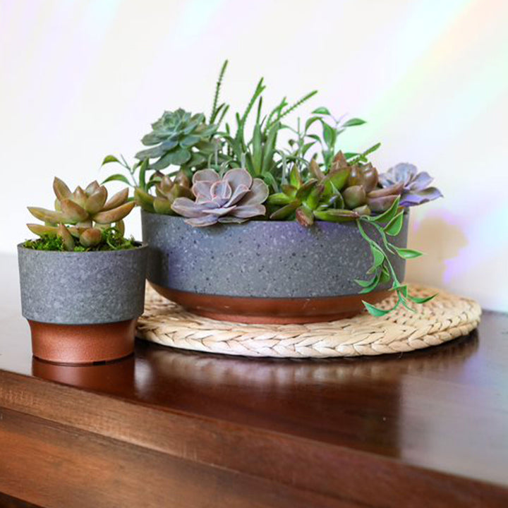 The HC Companies Capri Bowl Succulent Planter, Faux Concrete Copper (2 Pack)