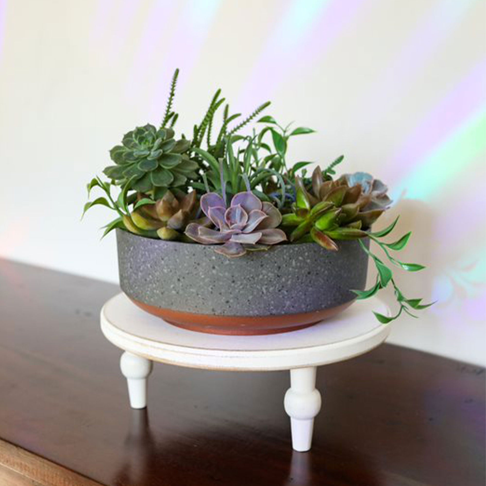 The HC Companies Capri Bowl Succulent Planter, Faux Concrete Copper (5 Pack) - VMInnovations