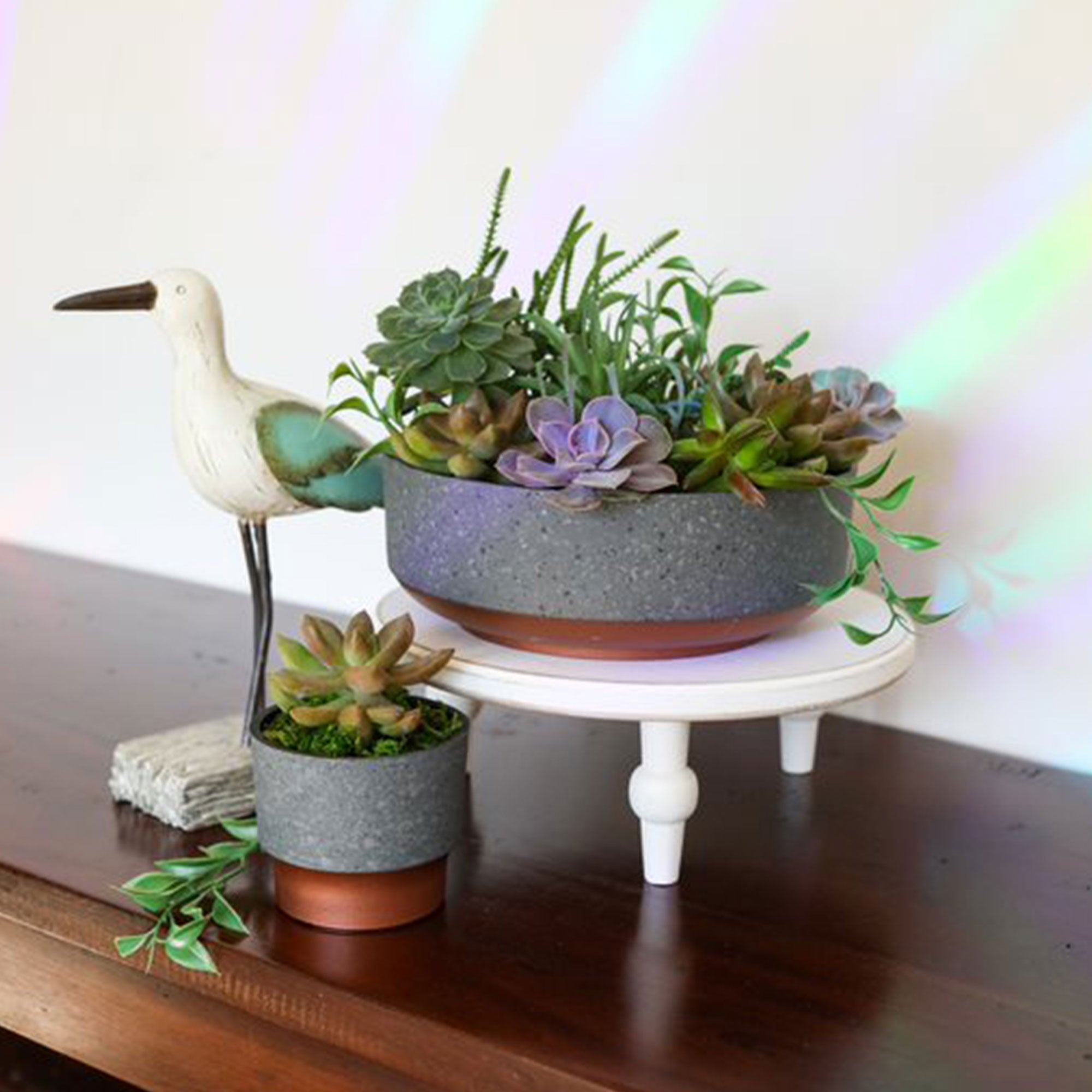 The HC Companies Capri Bowl Succulent Planter, Faux Concrete Copper (20 Pack) - VMInnovations