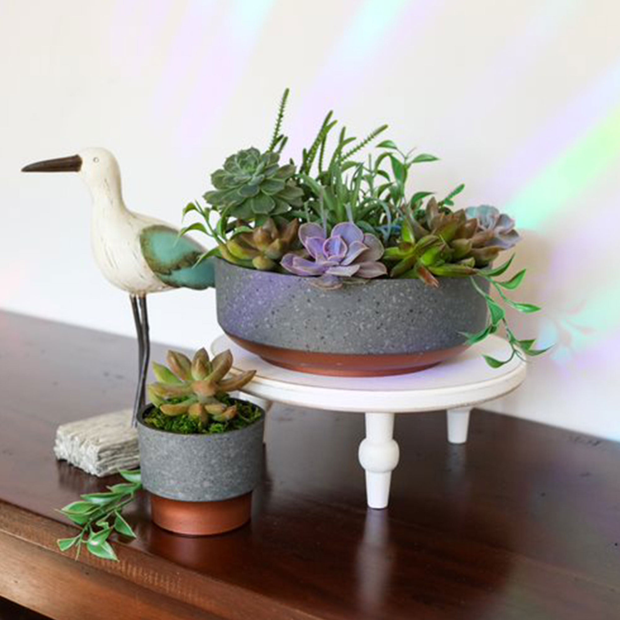 The HC Companies Sprite Succulent Planter Pot, Faux Concrete Copper (20 Pack)