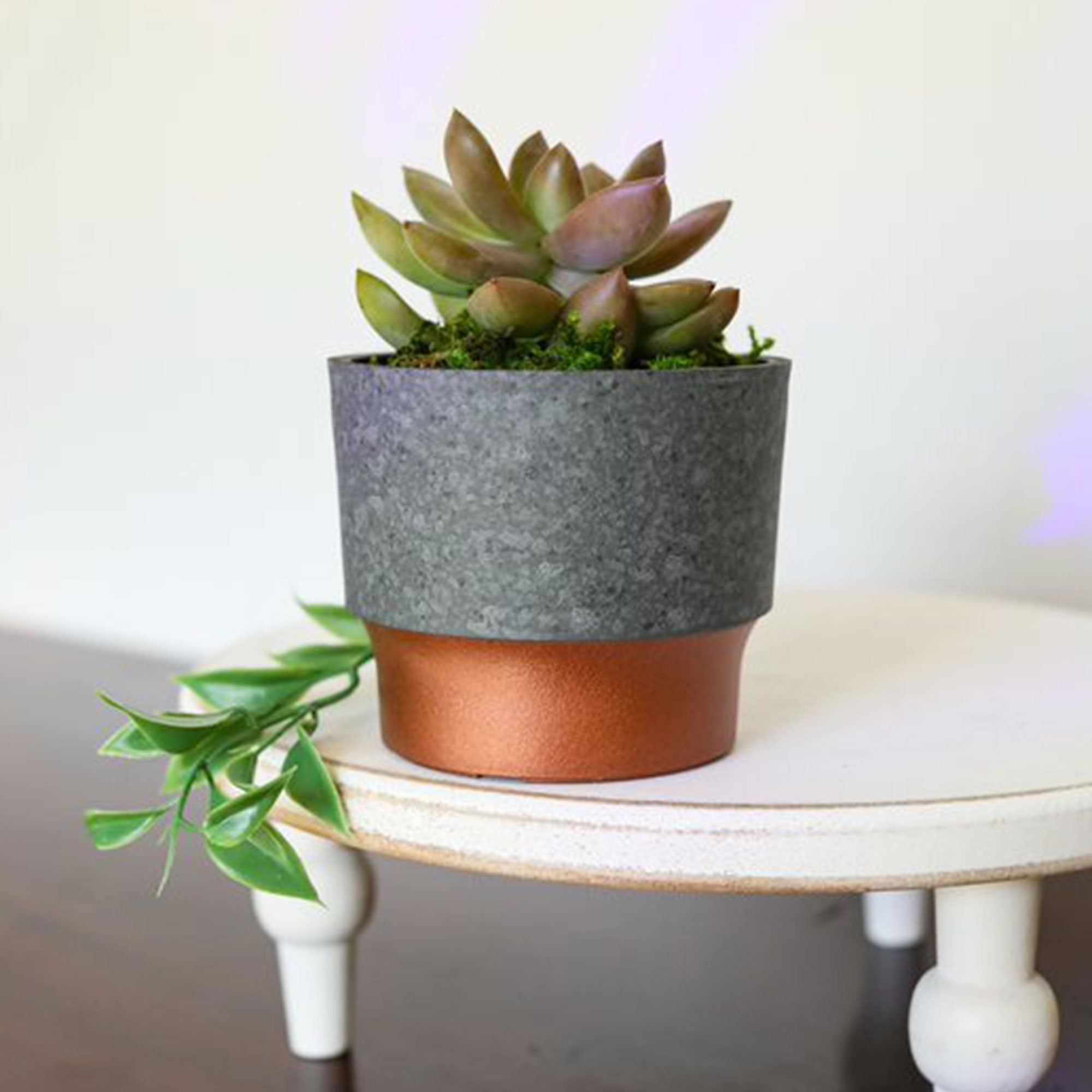The HC Companies Sprite Succulent Planter Pot, Faux Concrete Copper (10 Pack)