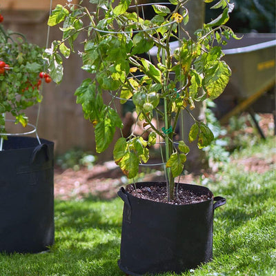 FCMP Outdoor 5 Gallon Modern Non Woven Breathable Grow Bags, Black (5 Pack) - VMInnovations