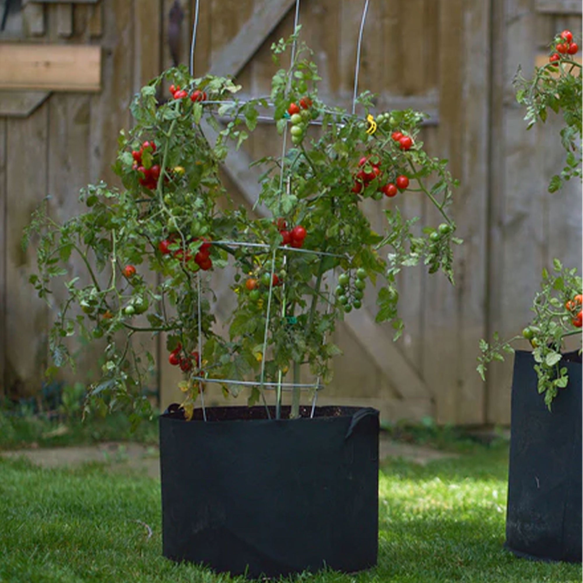 FCMP Outdoor 5 Gallon Modern Non Woven Breathable Grow Bags, Black (5 Pack) - VMInnovations