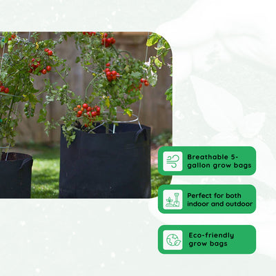 FCMP Outdoor 5 Gallon Modern Non Woven Breathable Grow Bags, Black (5 Pack) - VMInnovations